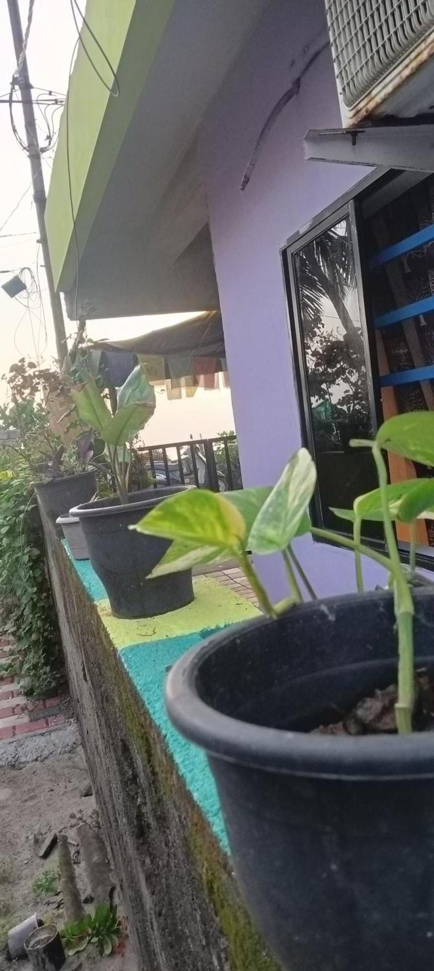 Peace And Love Stay Alappuzha Екстериор снимка